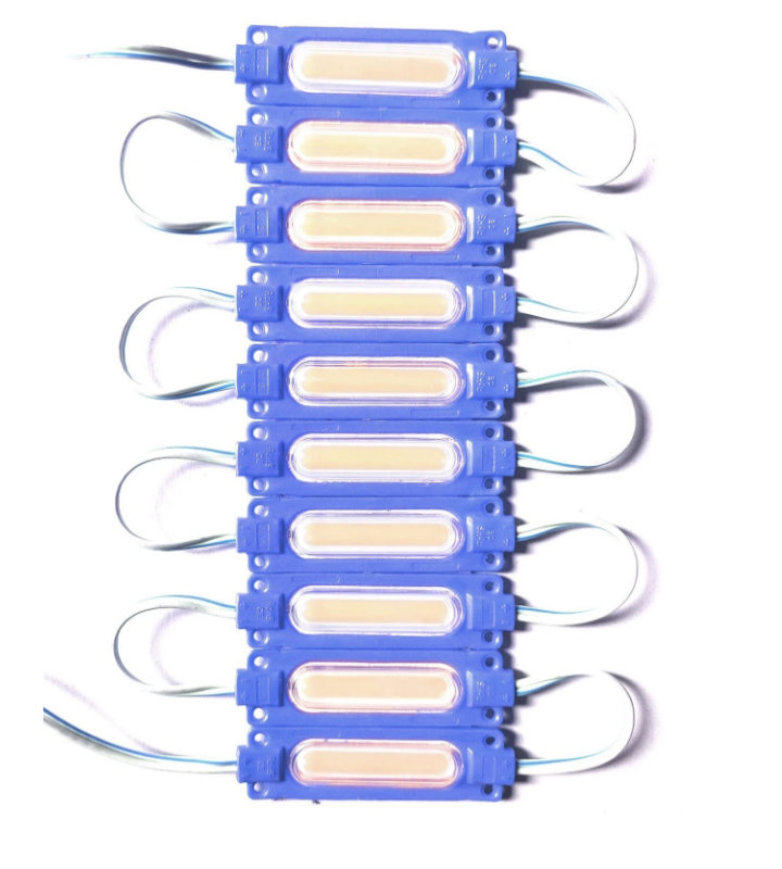 10 Pieces (BLUE) 12 Volt 2 Watt DC Capsule Shape LED Module Light Strip Light Electronic Hobby Kit